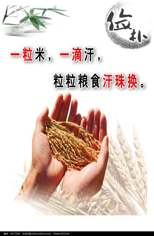 购买仿真岗位能力证书